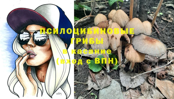 альфа пвп Дмитриев