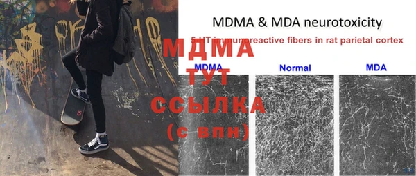 мяу мяу мука Дмитров