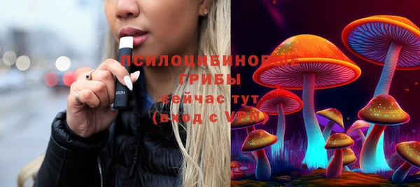 мяу мяу мука Дмитров