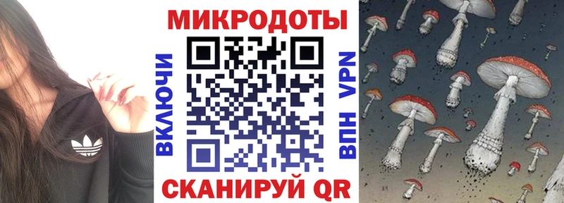 Галлюциногенные грибы мухоморы  наркошоп  Отрадный 