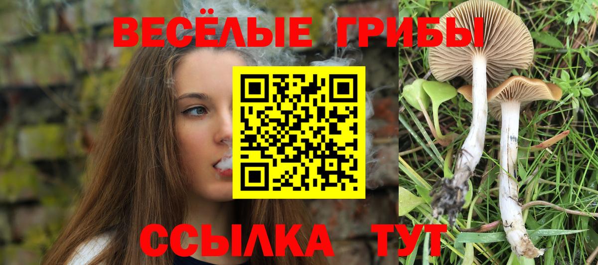 Галлюциногенные грибы ЛСД Отрадный