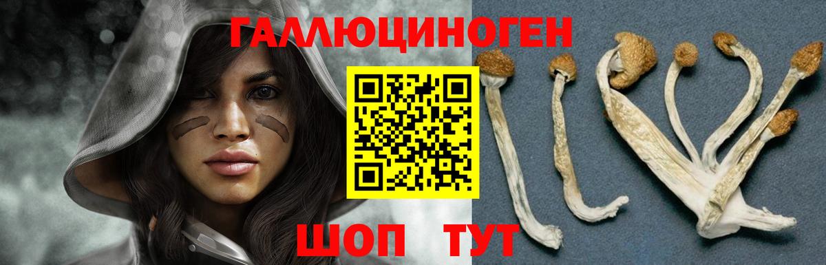 Галлюциногенные грибы мицелий  Псилоцибиновые грибы прущие грибы  купить наркотик  Вход с VPN  Отрадный 