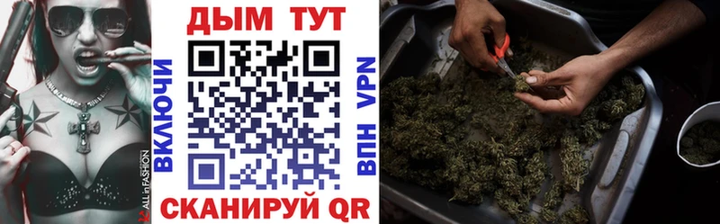 Конопля конопля Отрадный